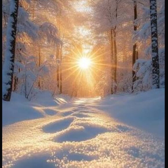 icedsunshine